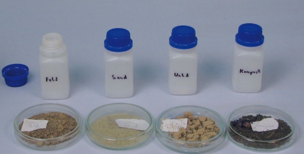 Salinitatea solurilor și a substraturilor vegetale cu Cobra SMARTsense  P1521169 