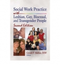 Social Work Practice with Lesbian. Gay. Bisexual. and Transgender People