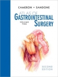 ATLAS OF GASTROINTESTINAL SURGERY (VOLUME 2)