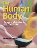 The Human Body