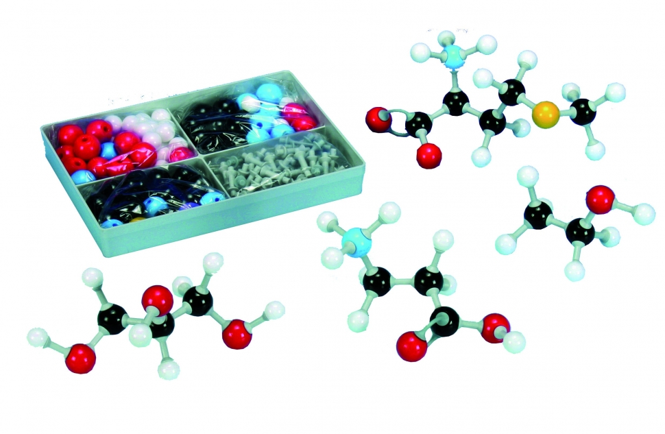 Trusă de construcţie model molecular  biochimie 39835-00