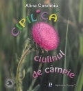 CIPILICA - CIULINUL DE CAMPIE